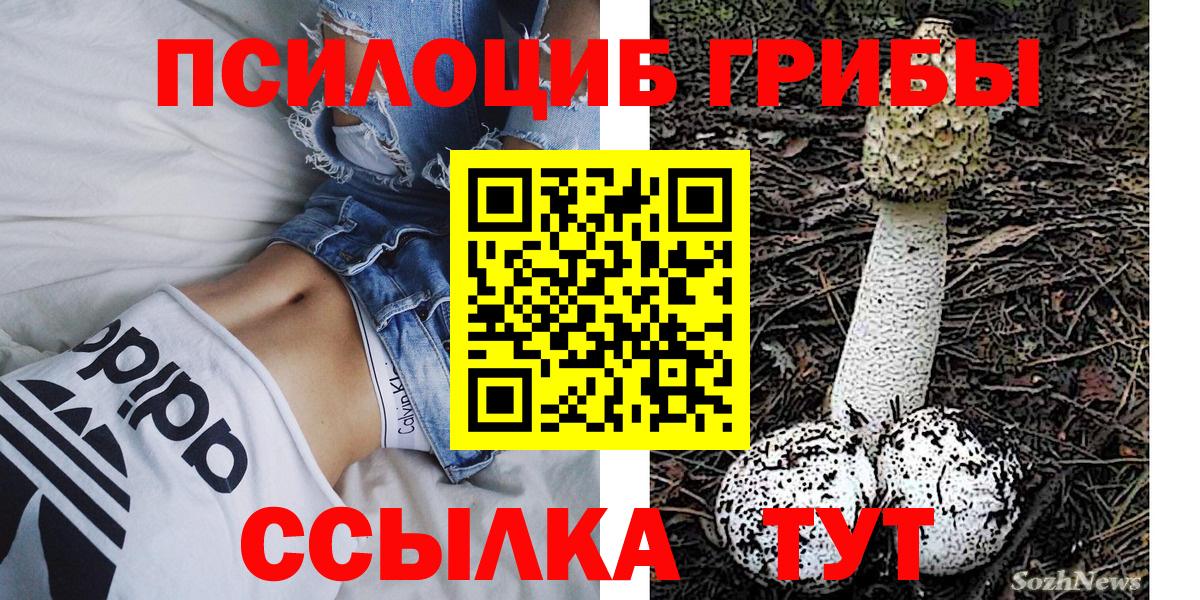 Валуйки  Галлюциногенные грибы Cubensis  Вход с VPN 